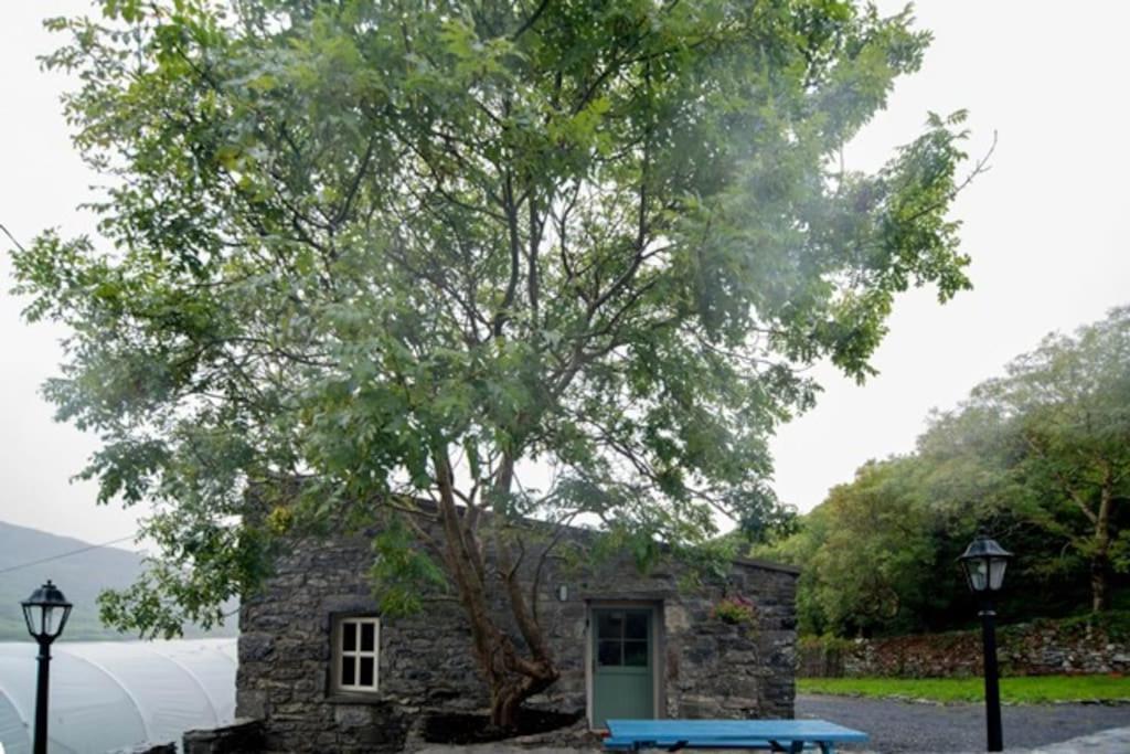 Fermoyle Properties Glynn'S Cottage Fanore Dış mekan fotoğraf